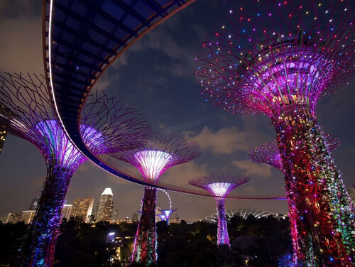 Visit Gardens By The Bay | Park Hotel Group