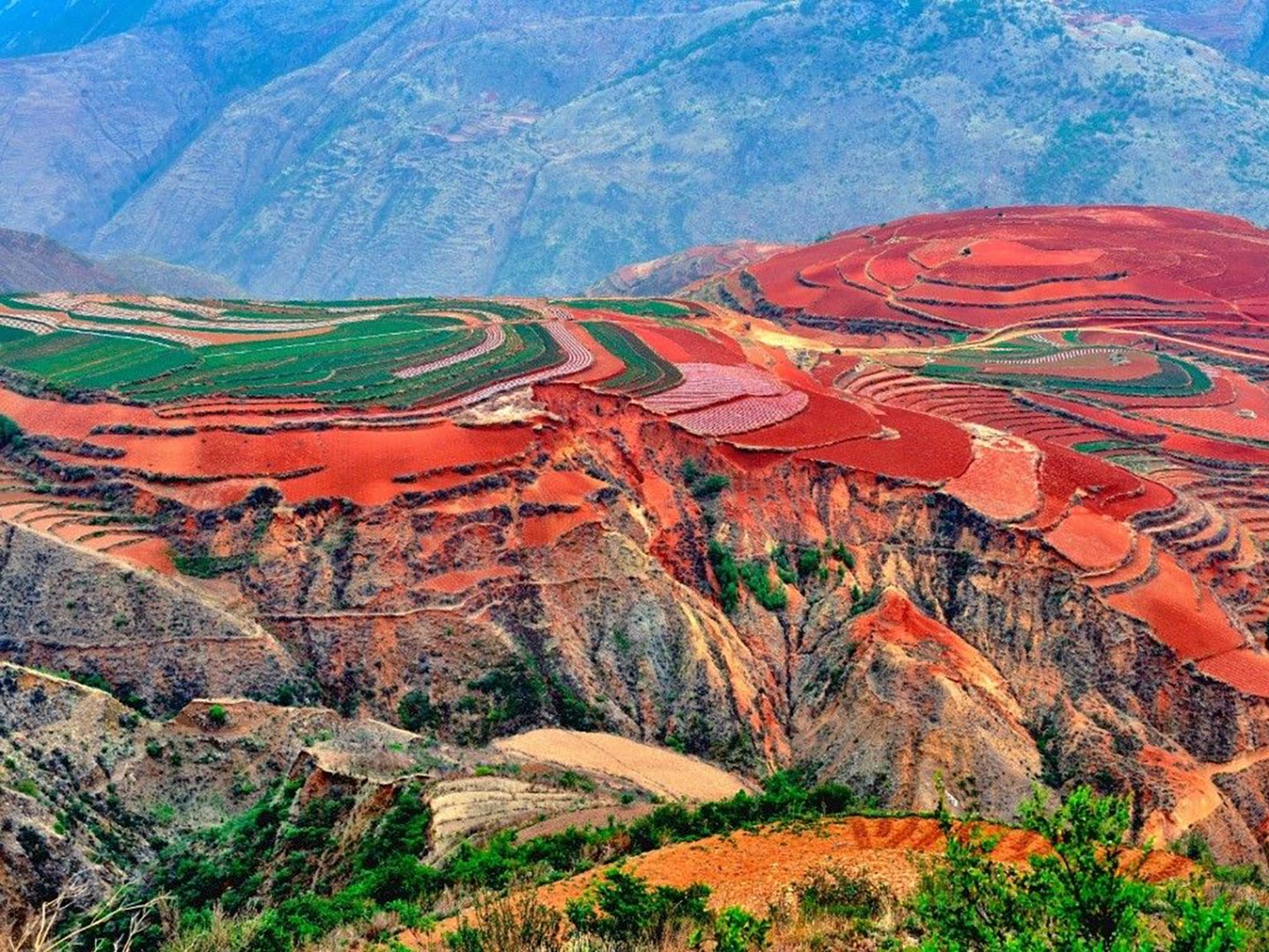 Dongchuan Red Land