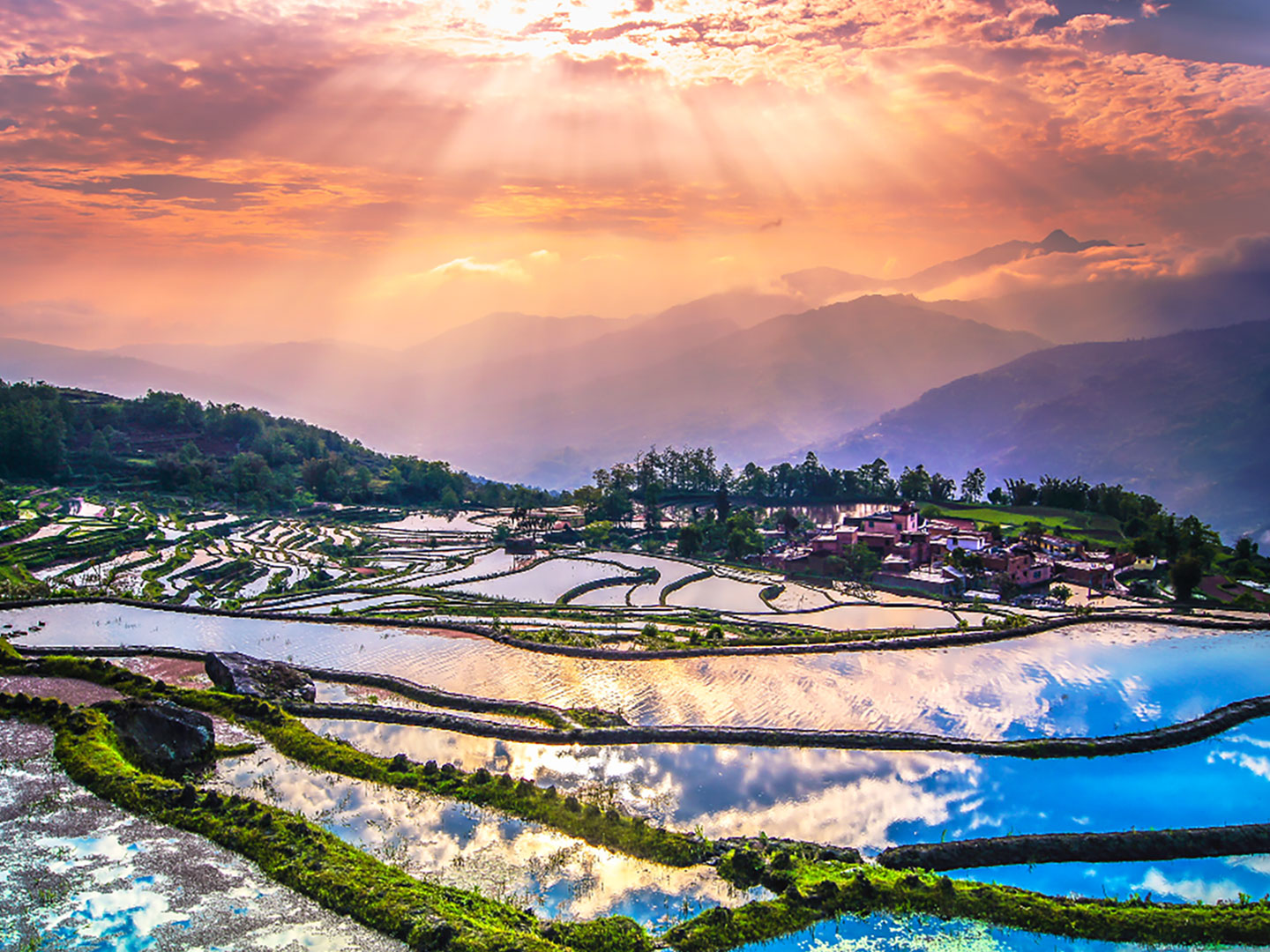 Yuan Yang Terraced Rice Fields 