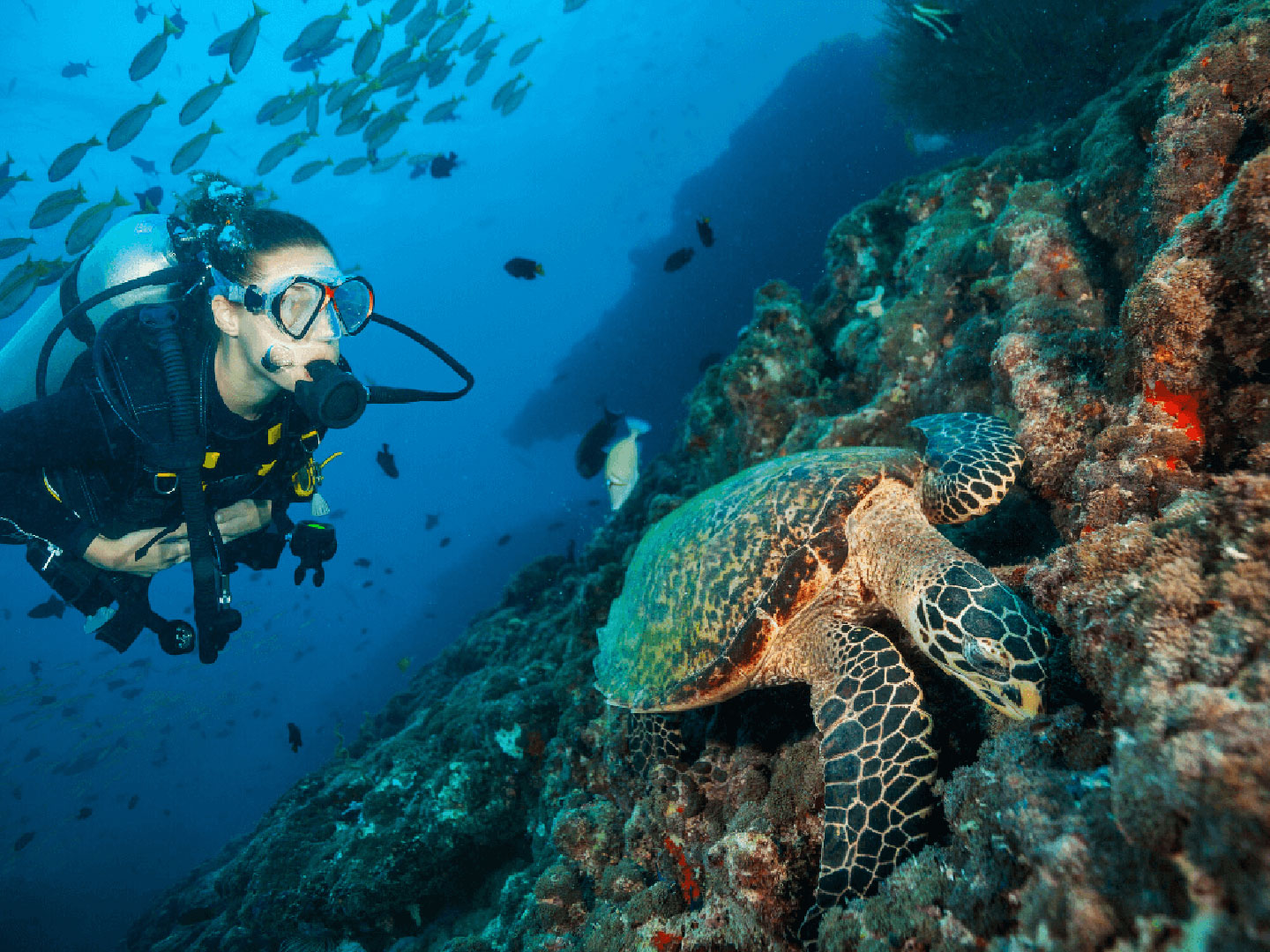 Scuba Diving at Grand Park Kodhipparu