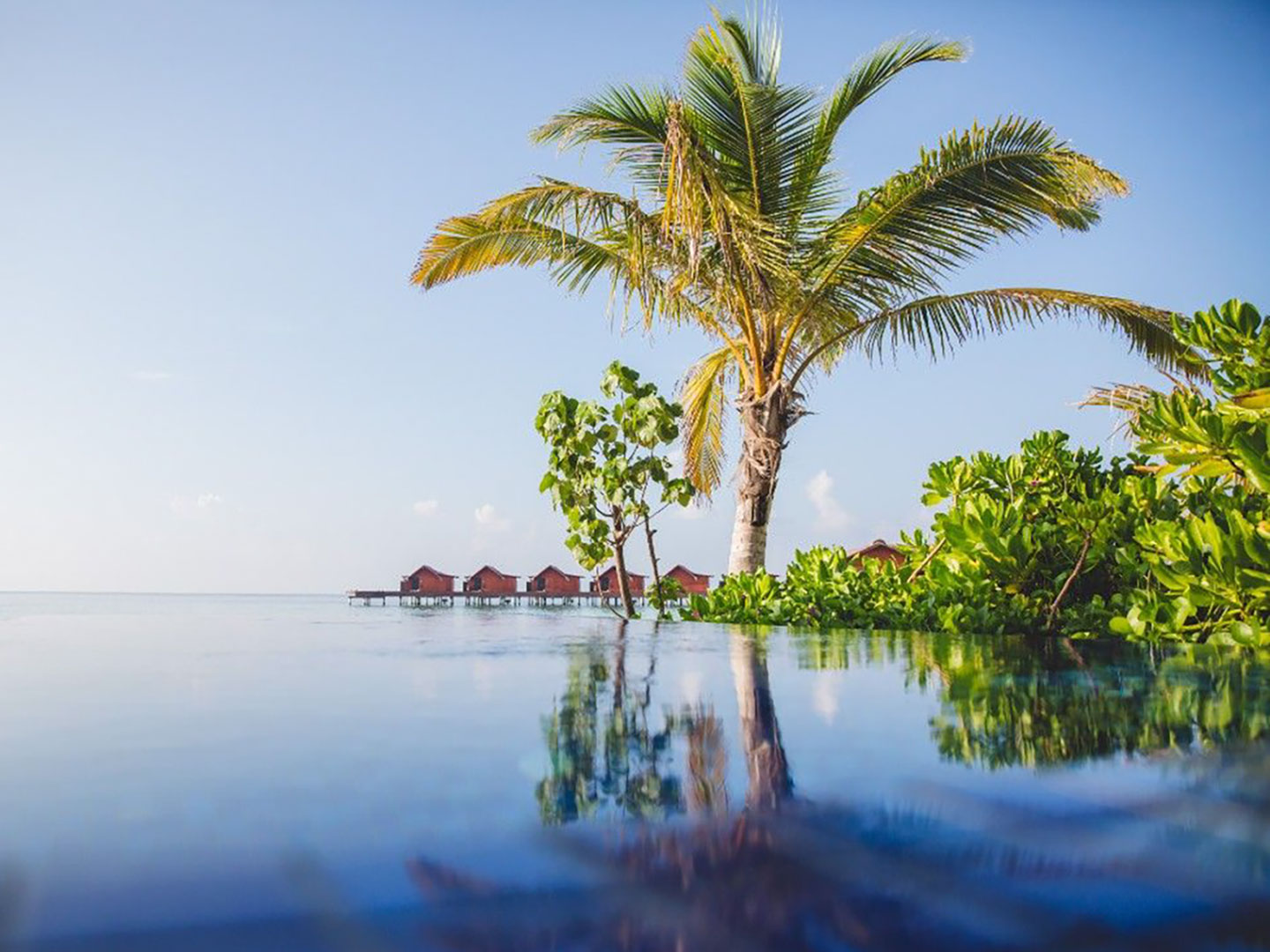 Grand Park Kodhipparu, infinity pool 