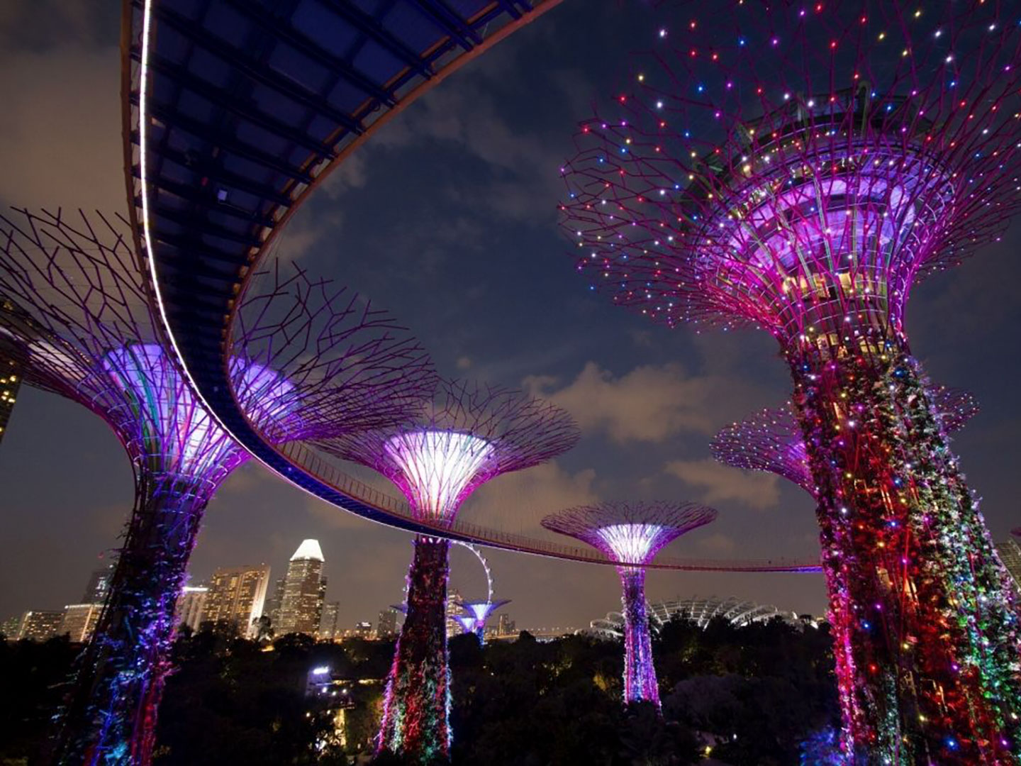 Supertrees lit up at night in Gardens by the Bay Singapore