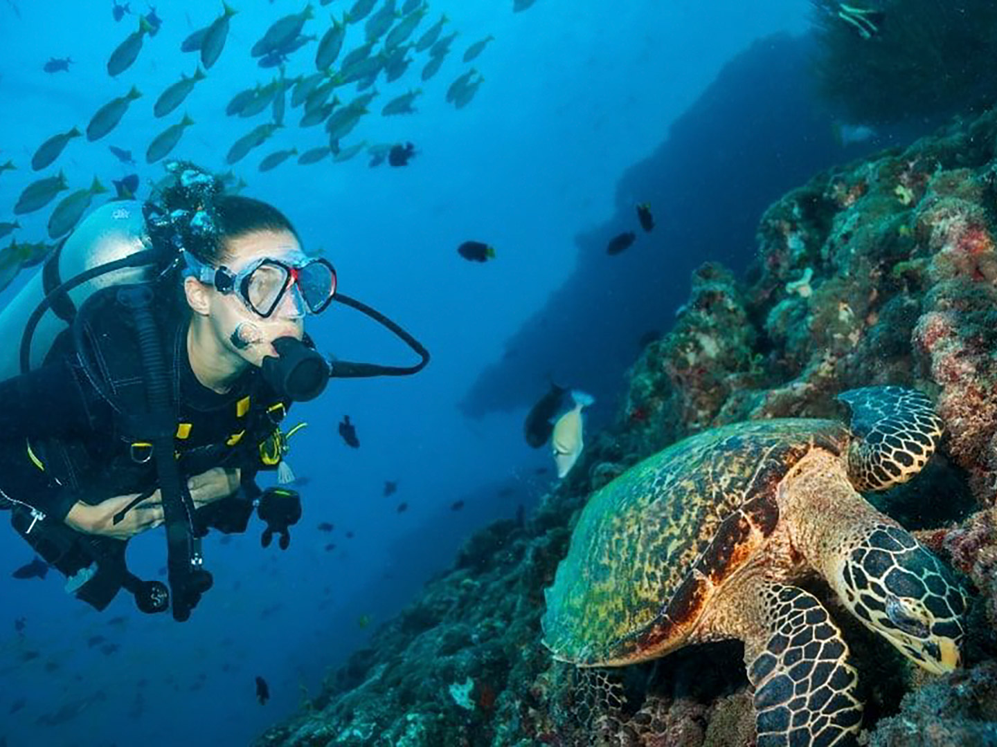 Snorkeling at Maldives