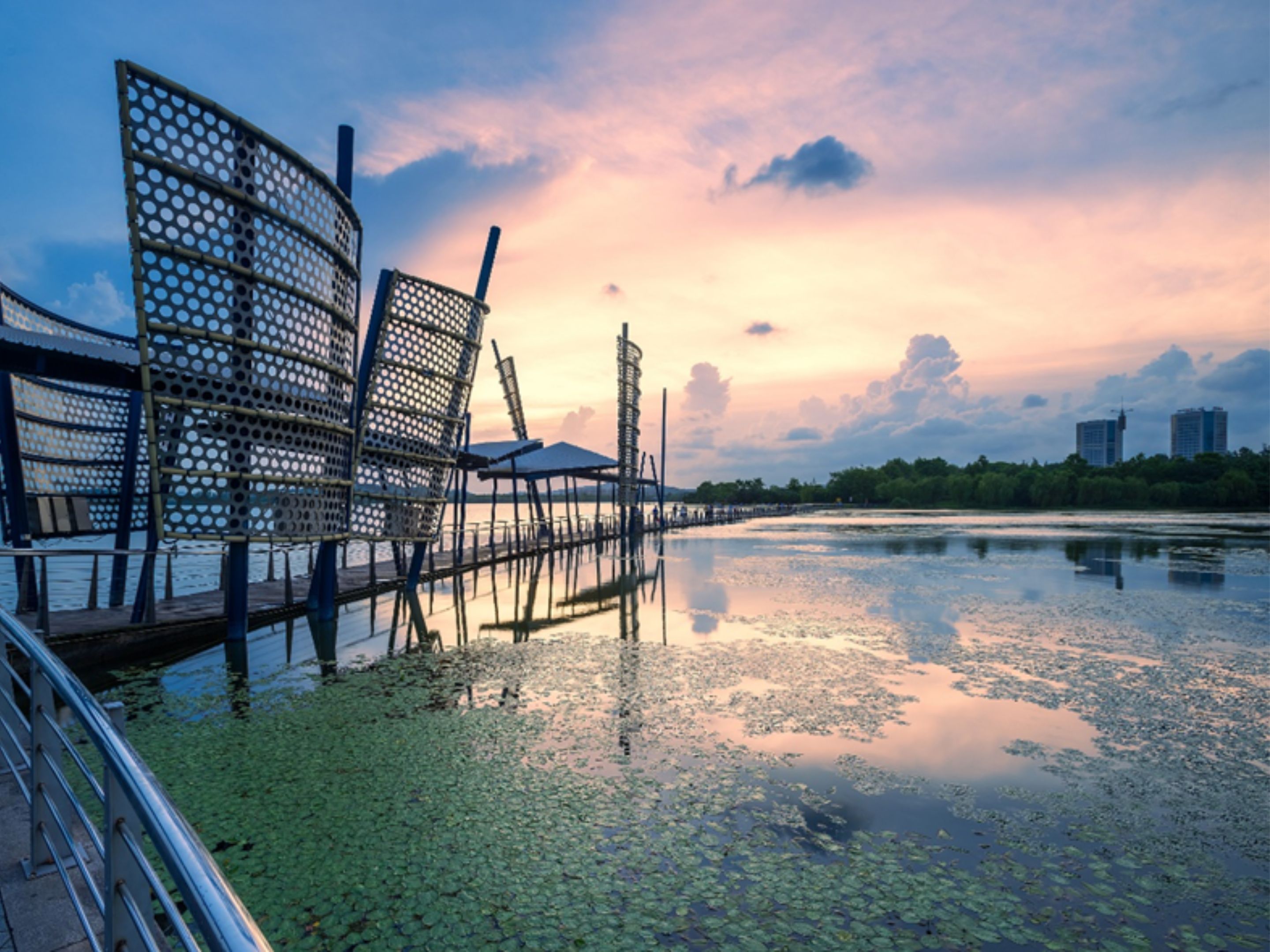 Lihu Park: Where Nature and Modernity Converge